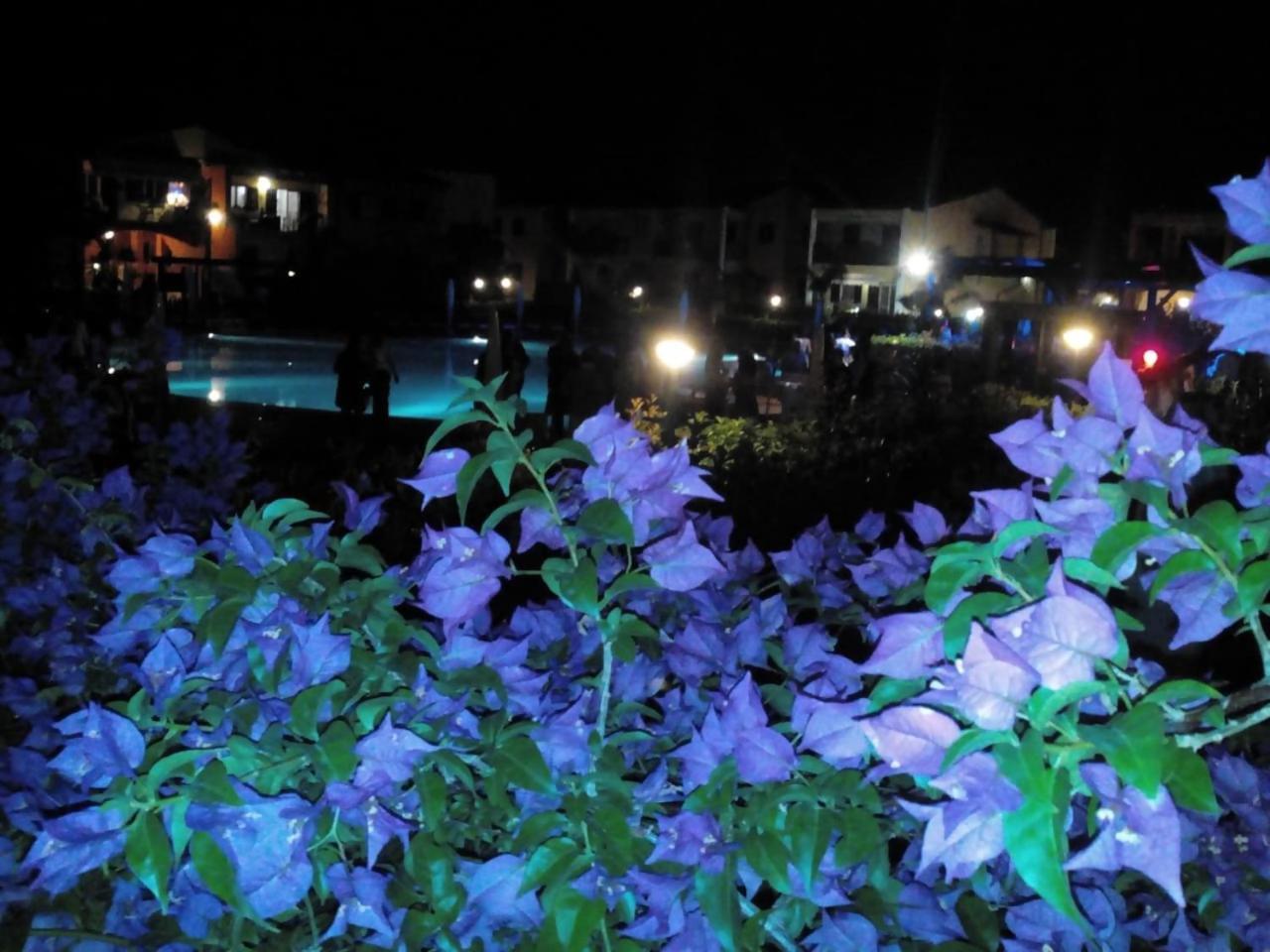 I Giardini Elisei Ferienpark 2*