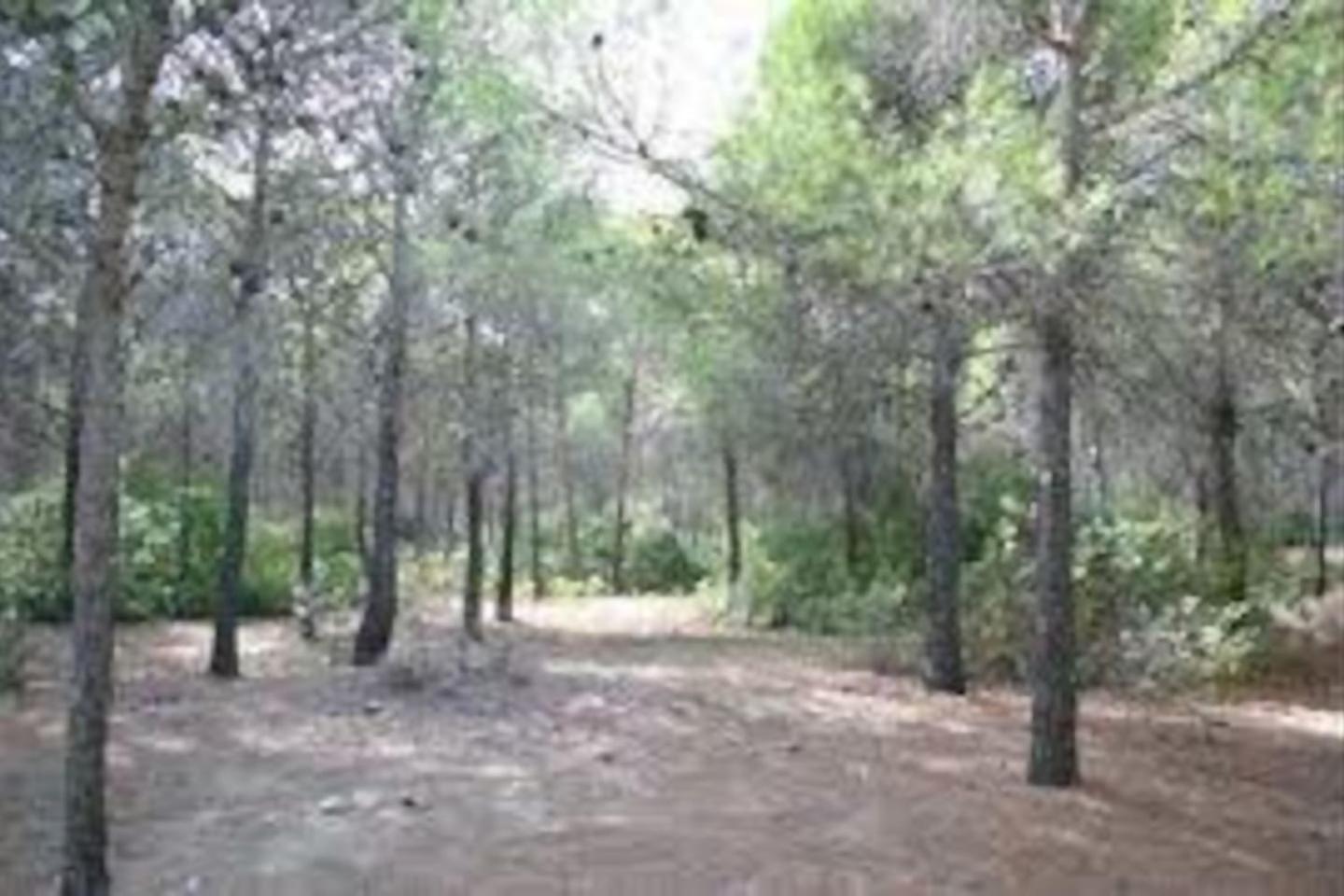 I Giardini Elisei Policoro